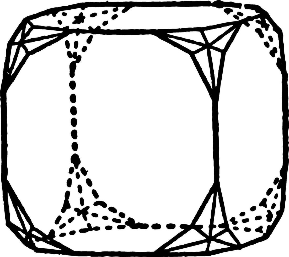 combinação do hexakis-octaedro e cubo vintage ilustração. vetor