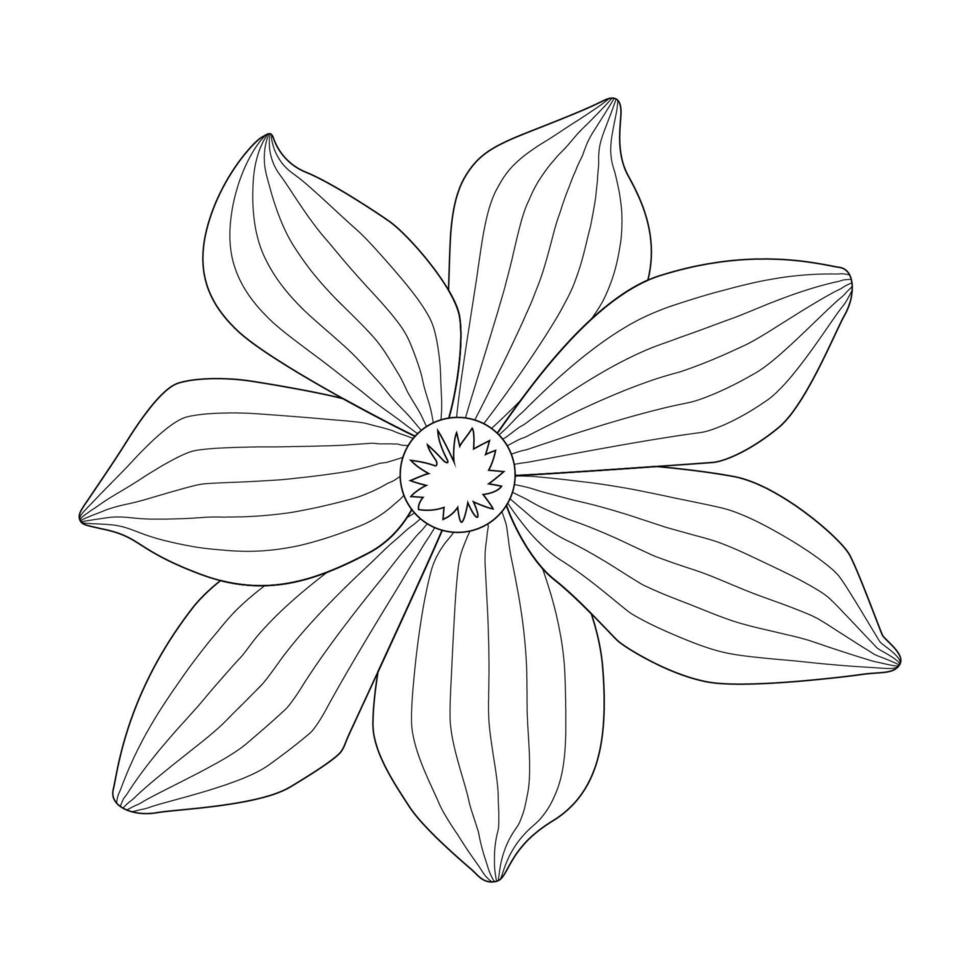 camomila de flor simples desenhada por linhas. ilustração vetorial vetor