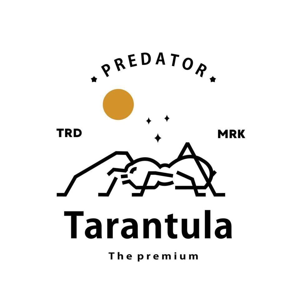 vintage retro hipster tarântula logotipo vetor esboço monoline arte ícone