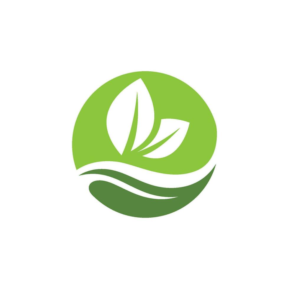 logotipos da ecologia de folhas verdes vetor