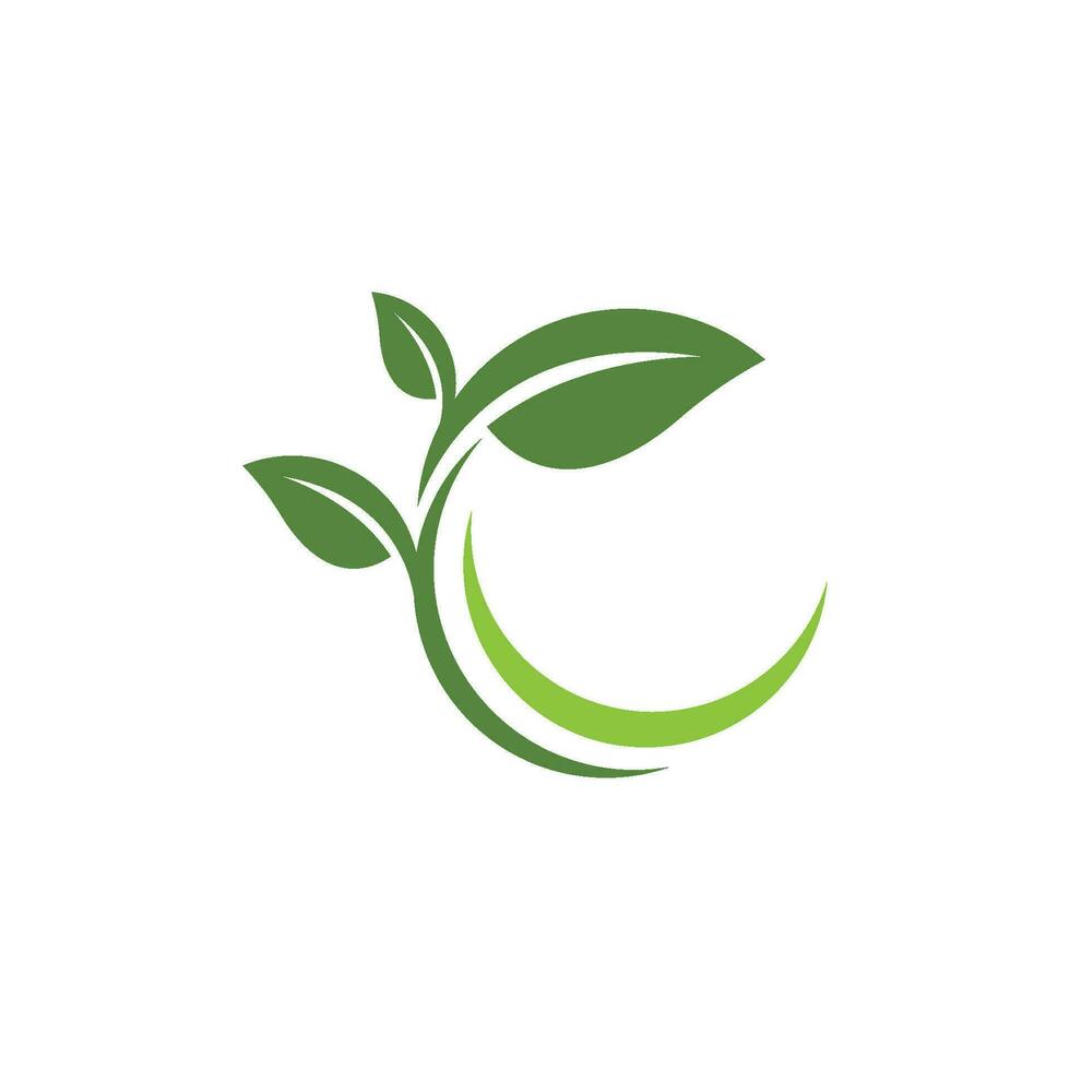 logotipos da ecologia de folhas verdes vetor