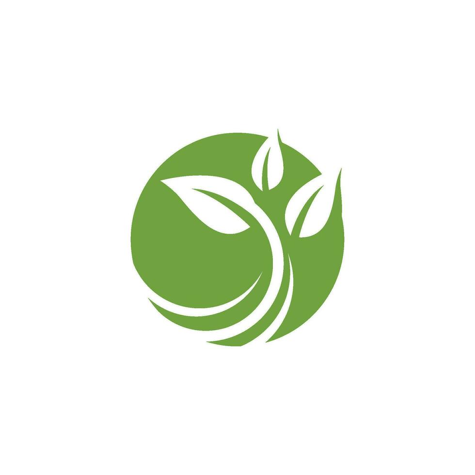 logotipos da ecologia de folhas verdes vetor