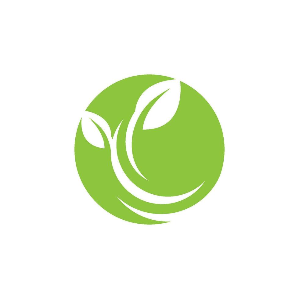 logotipos da ecologia de folhas verdes vetor