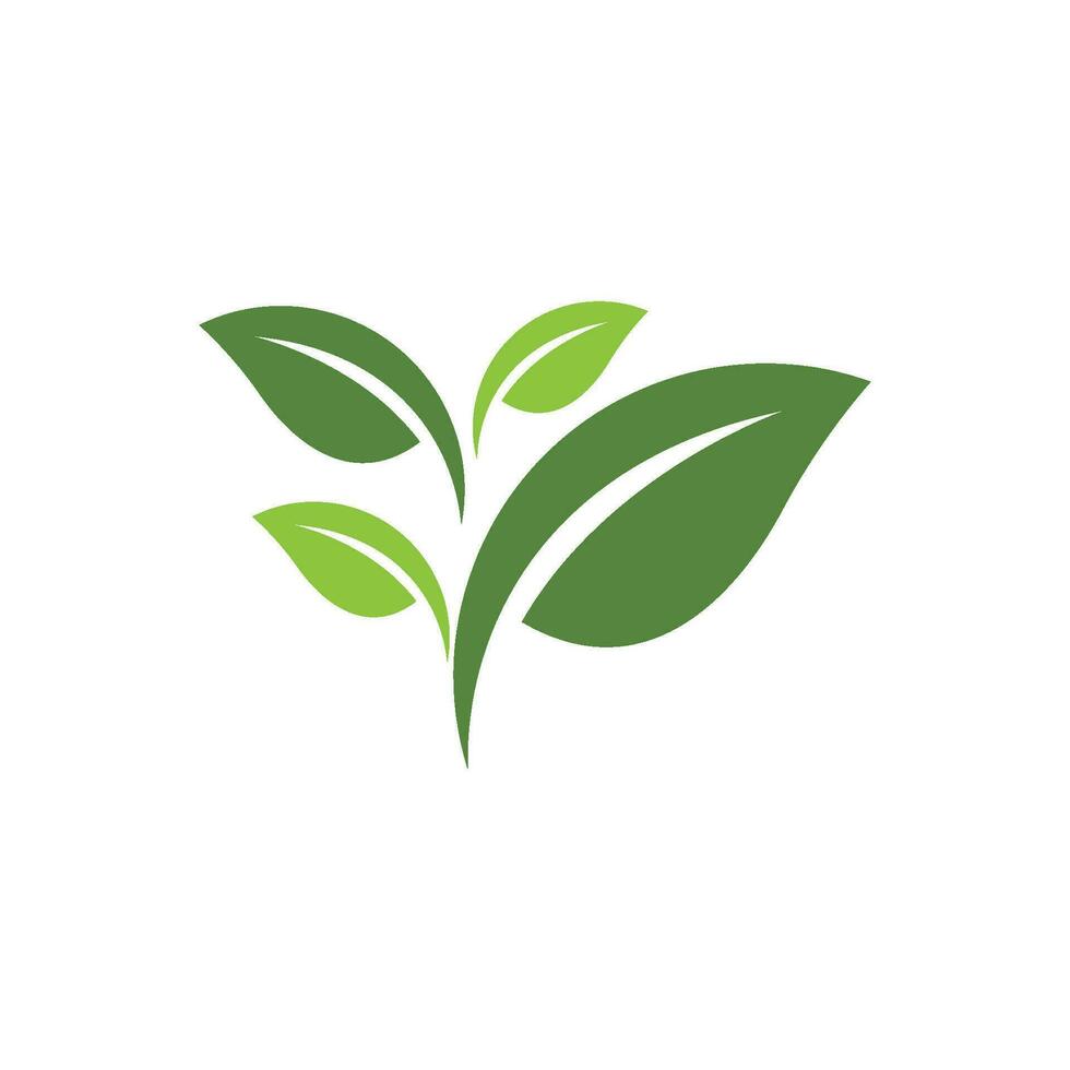 logotipos da ecologia de folhas verdes vetor