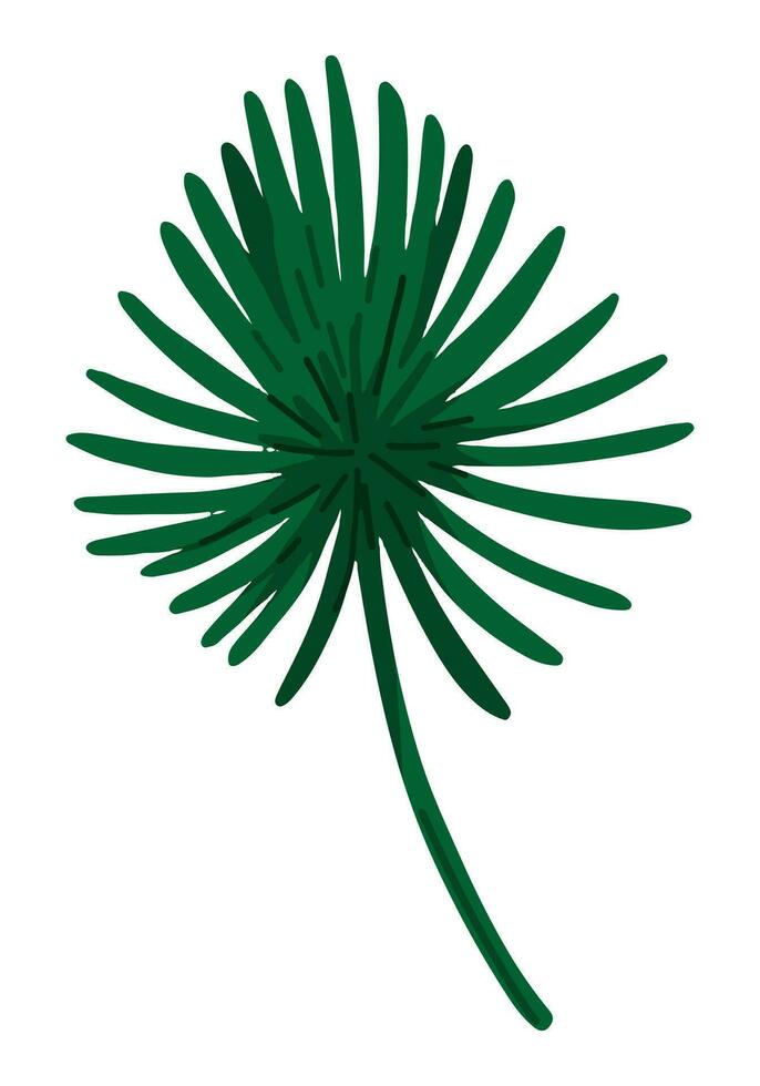 Palma folha clipart. tropical floral doodle. desenho animado vetor botânica ilustração. contemporâneo estilo desenhando isolado em branco.