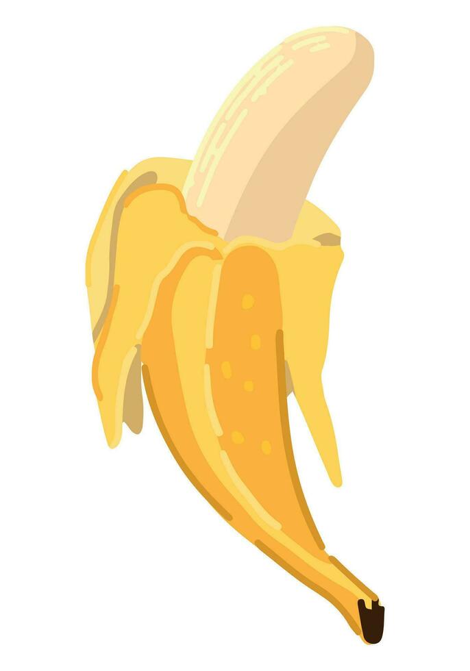 banana fruta clipart. doce exótico fruta rabisco isolado em branco. colori vetor ilustração dentro desenho animado estilo.