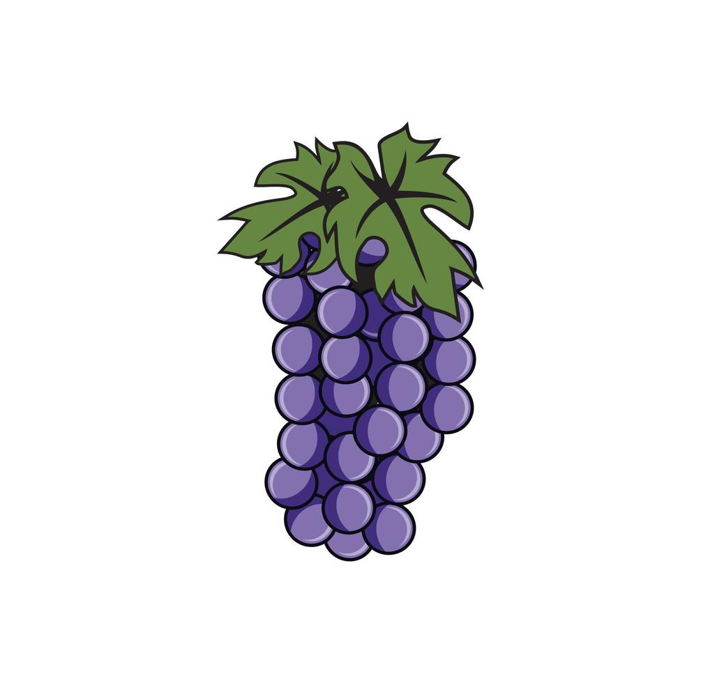 ilustração do design da uva vetor