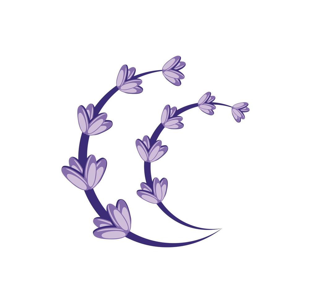 ilustração de design de flor de lavanda vetor