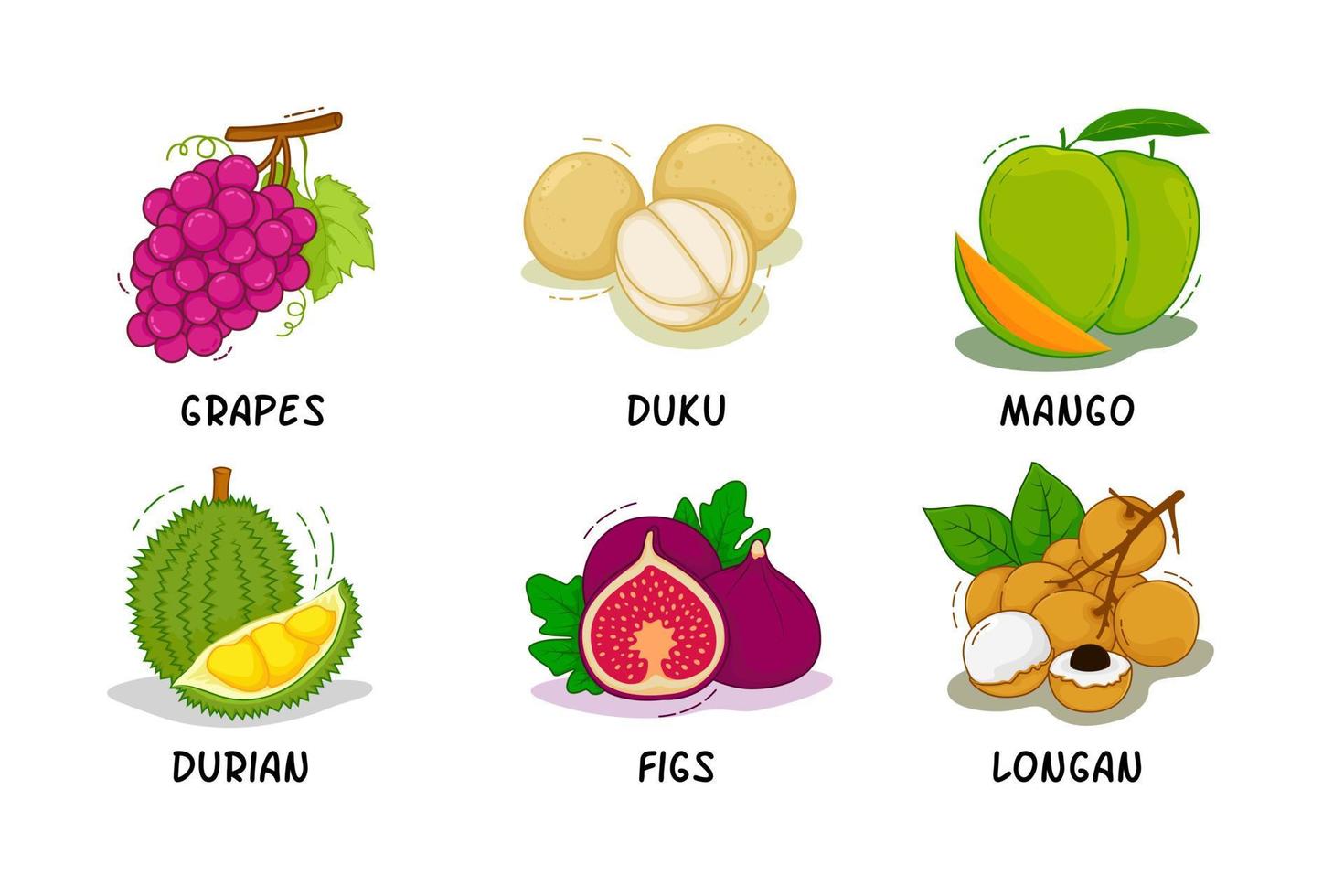 frutas, coleta de frutas, uvas, duku, manga, durian, figos, longan vetor