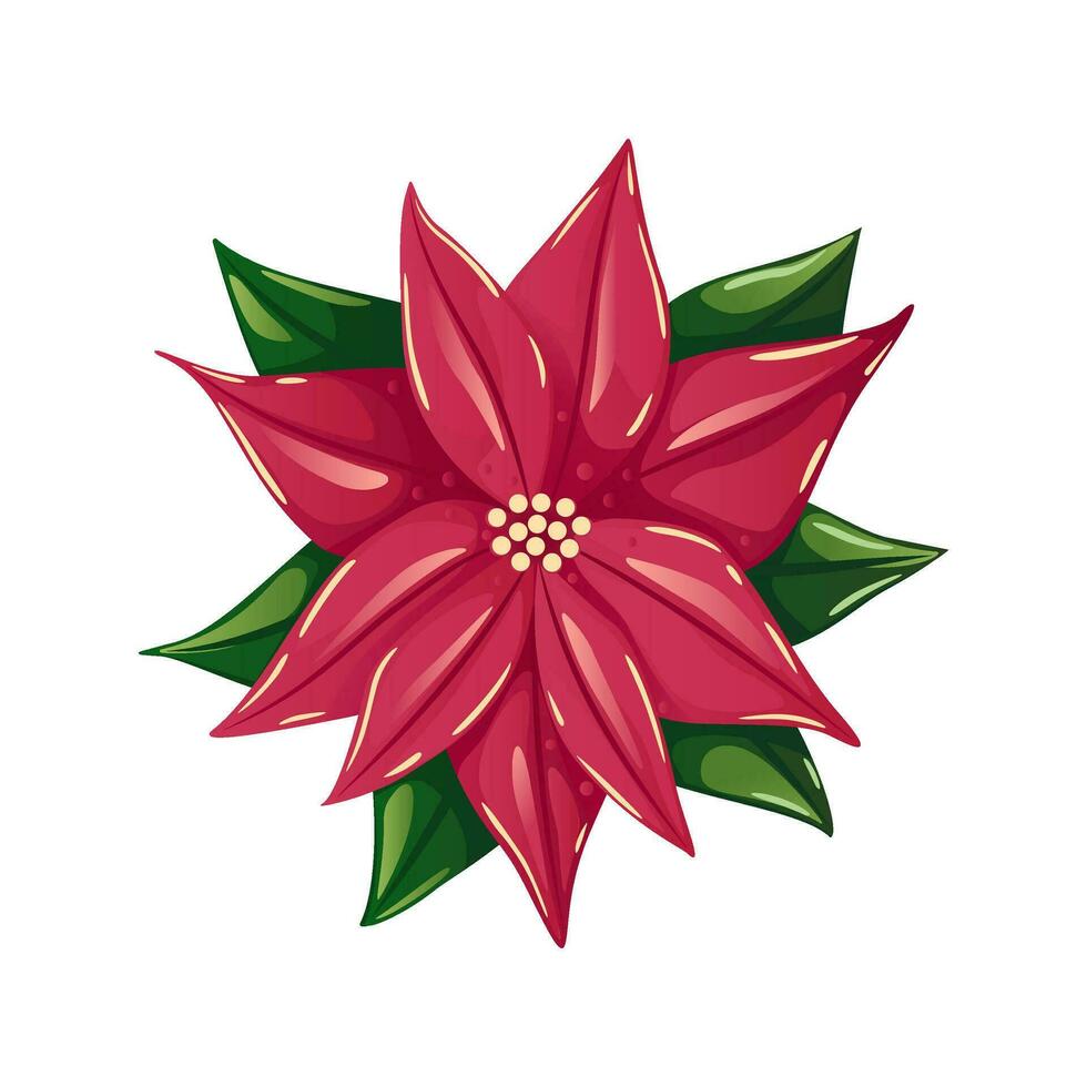 poinsétia flor vetor ilustração, brilhante vermelho Natal flor com folhas isolado em branco fundo. decorativo detalhado elemento para feriado padrões, grinaldas, quadros, embalagem, Projeto