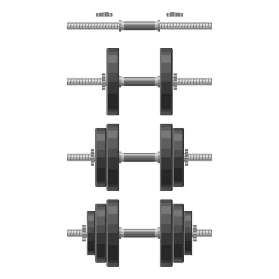 haltere com removível discos diferente pesos conjunto isolado em branco fundo. levantamento de peso equipamento, musculação, academia, crossfit, dar certo, ginástica clube símbolo. esporte vetor ilustração.