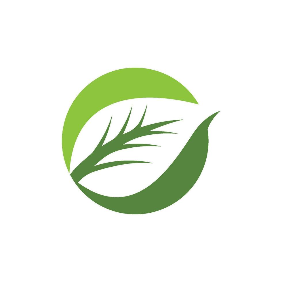 logotipos da ecologia de folhas verdes vetor