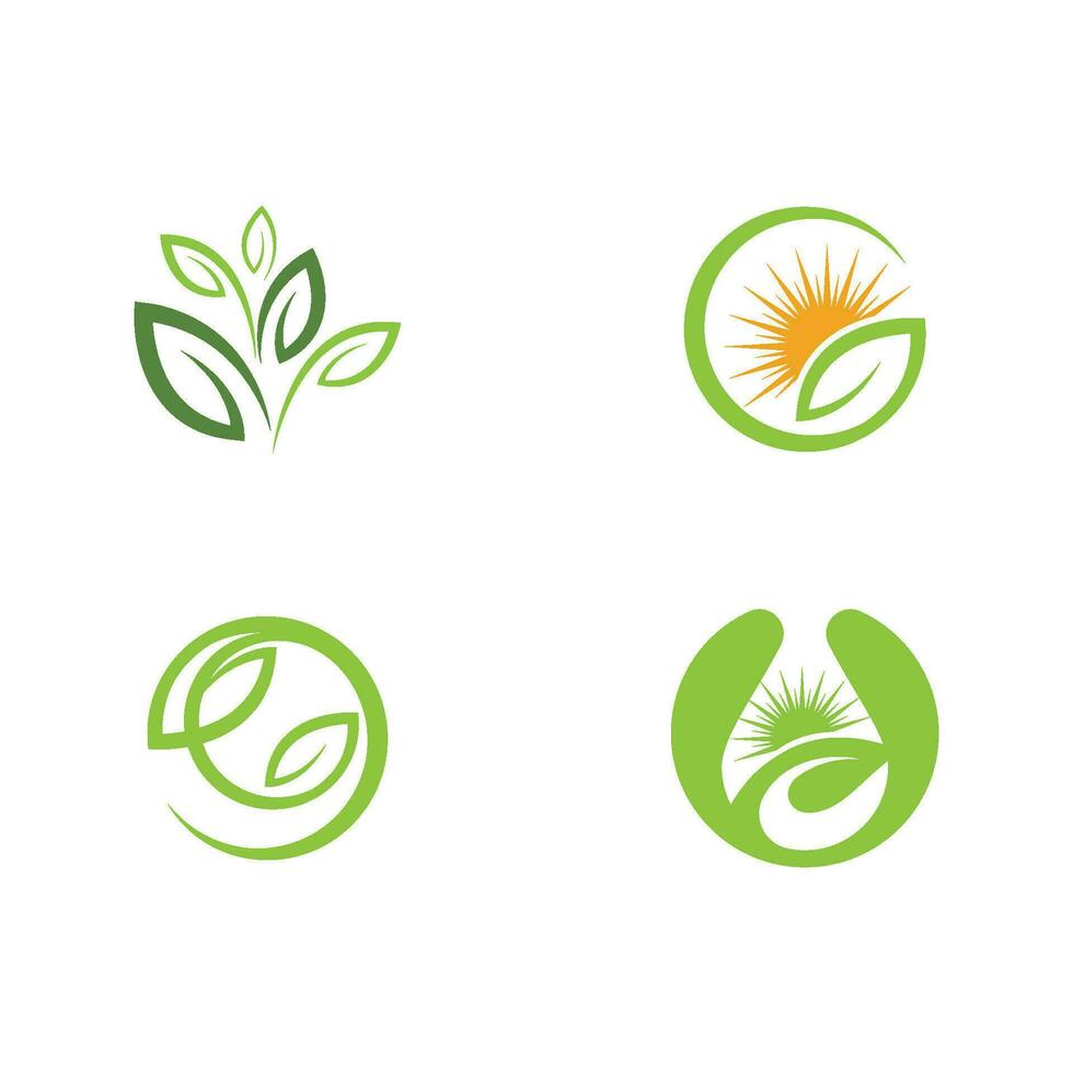 logotipos da ecologia de folhas verdes vetor