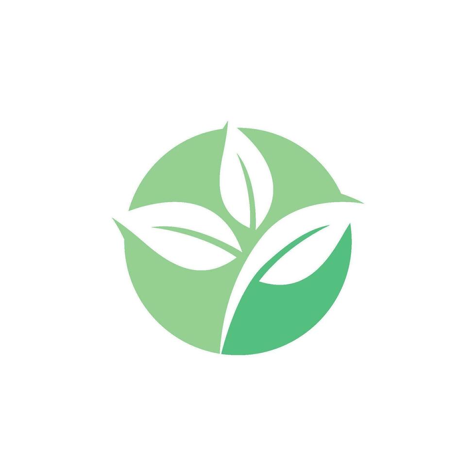 logotipos da ecologia de folhas verdes vetor