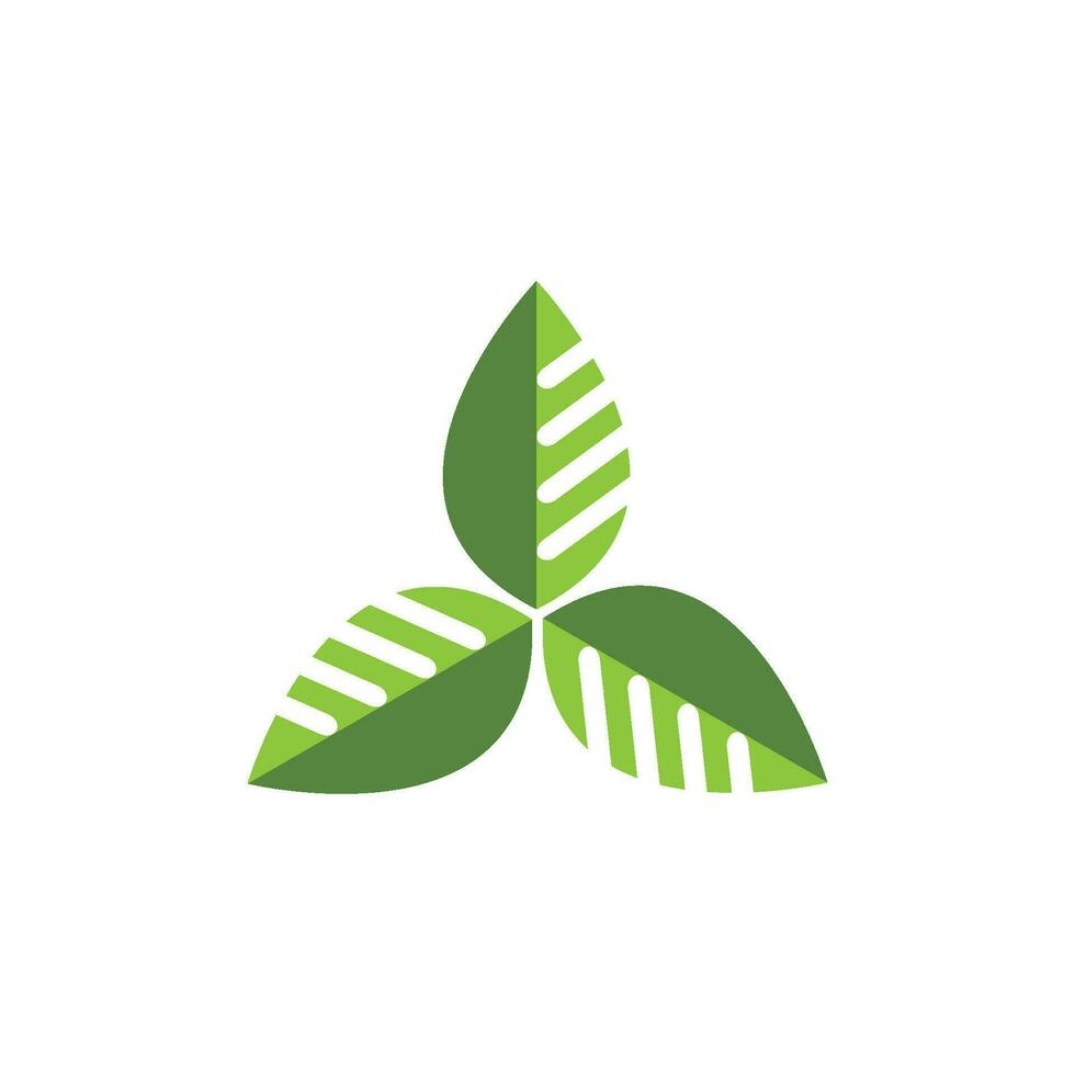 logotipos da ecologia de folhas verdes vetor