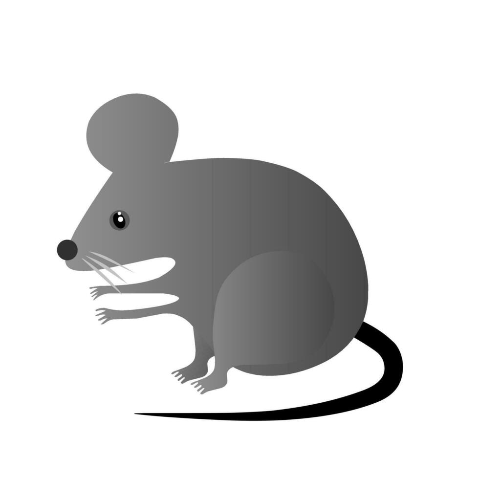 rato vetor ilustração em branco fundo