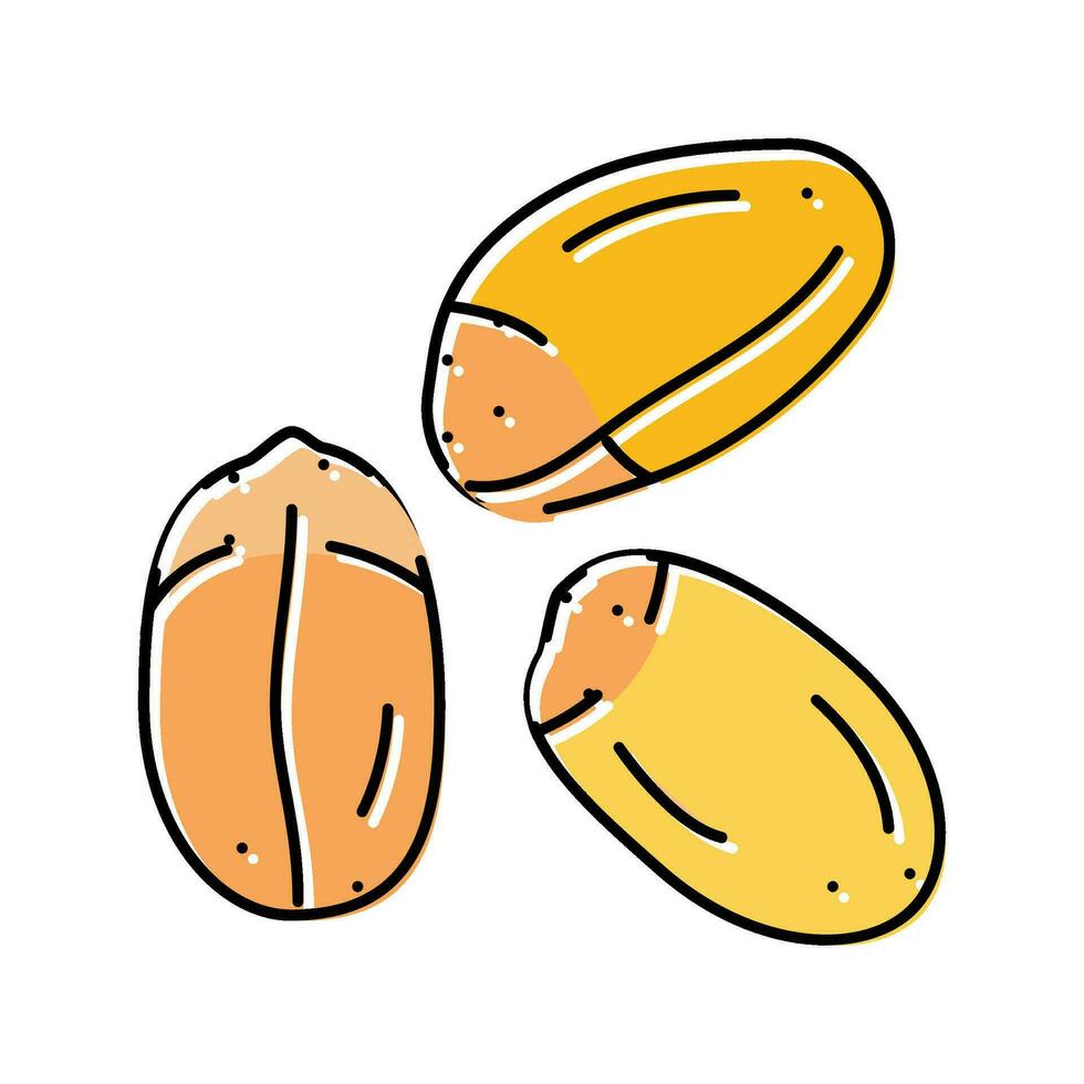 grão maduro trigo cor ícone vetor ilustração