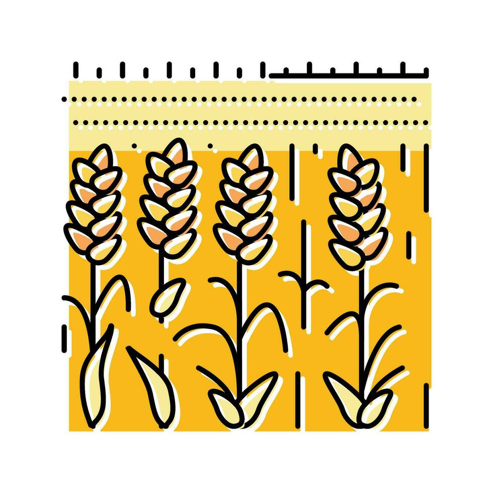 campo amarelo maduro trigo cor ícone vetor ilustração