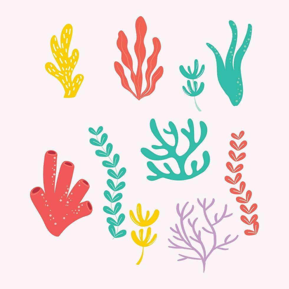 vetor mão desenhado colorida coral coleção