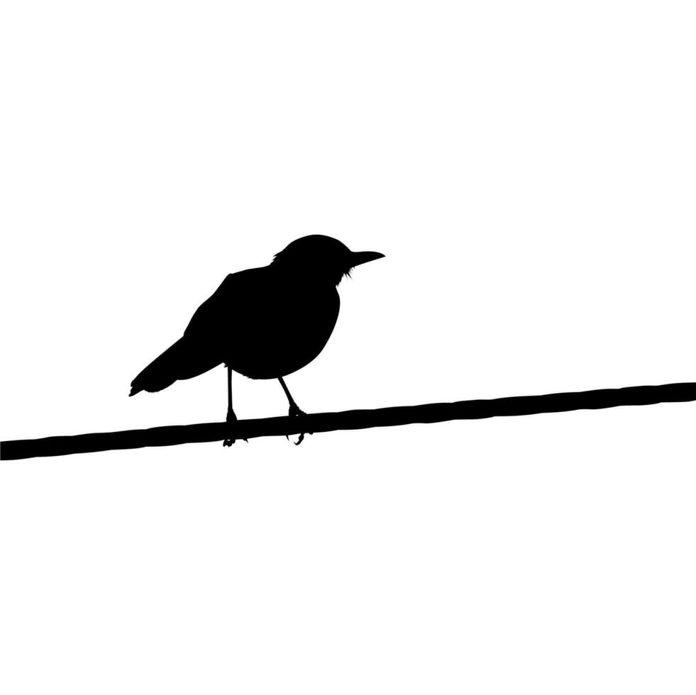 silhueta do a pássaro empoleirado em a elétrico fio base em meu fotografia. vetor ilustração