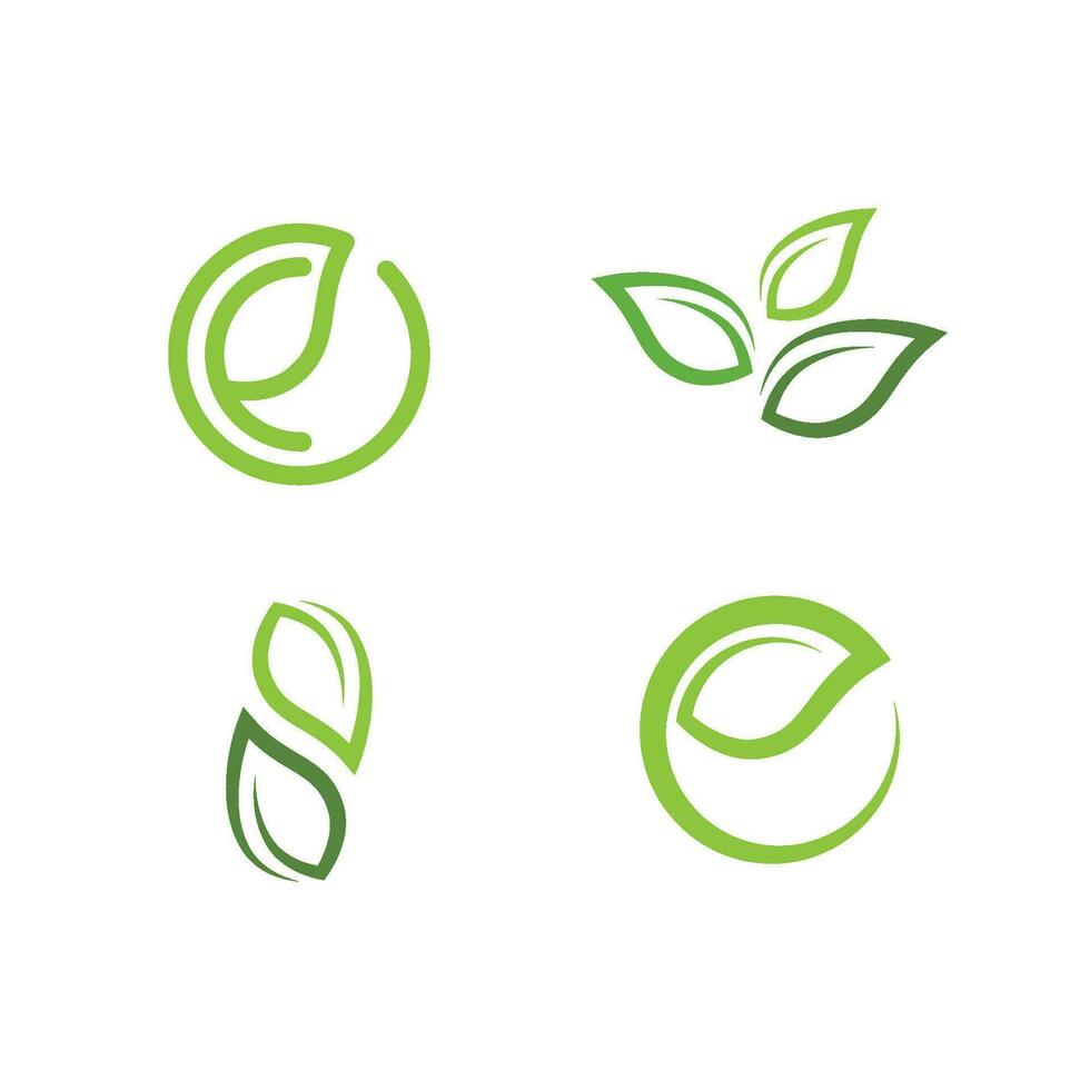 logotipos da ecologia de folhas verdes vetor