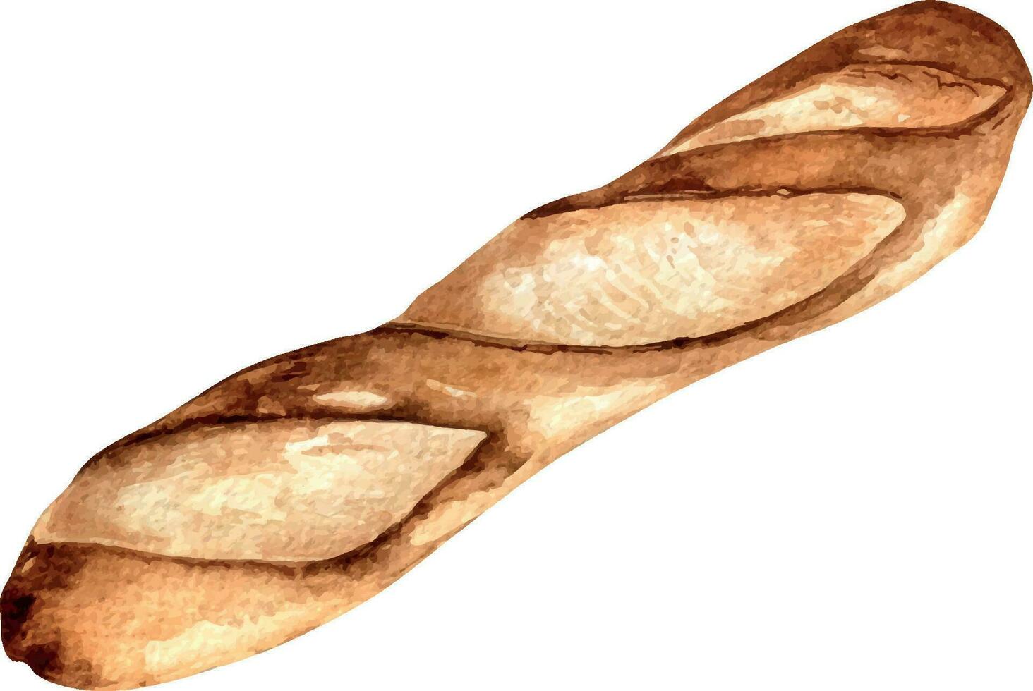 fresco baguete todo aguarela ilustração isolado em branco fundo. mão desenhado francês pão para padaria. pintado pão. elemento para Projeto sinalização, cardápio, livro de receitas, invólucro papel, embalagem vetor