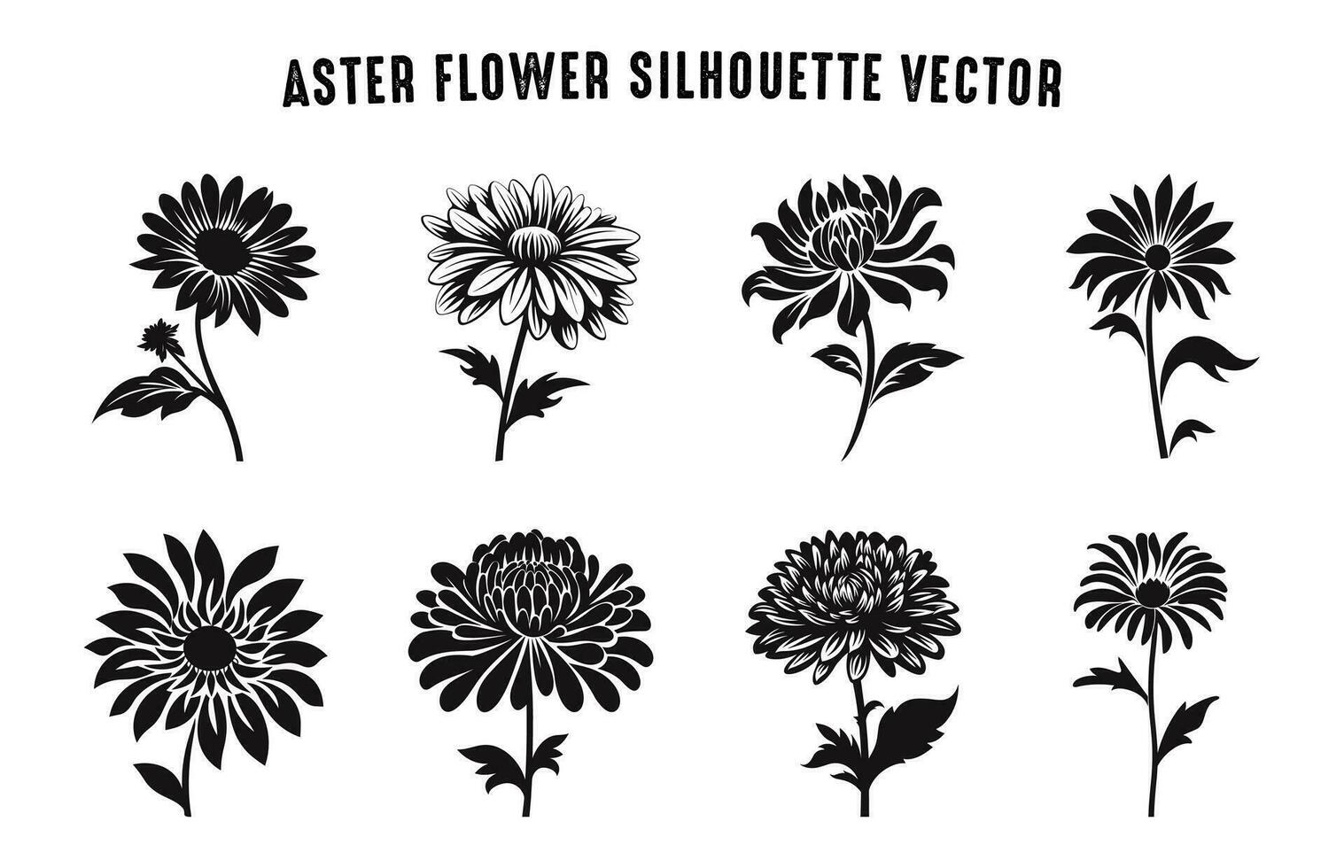 áster flor silhueta vetor definir, áster flores clipart agrupar