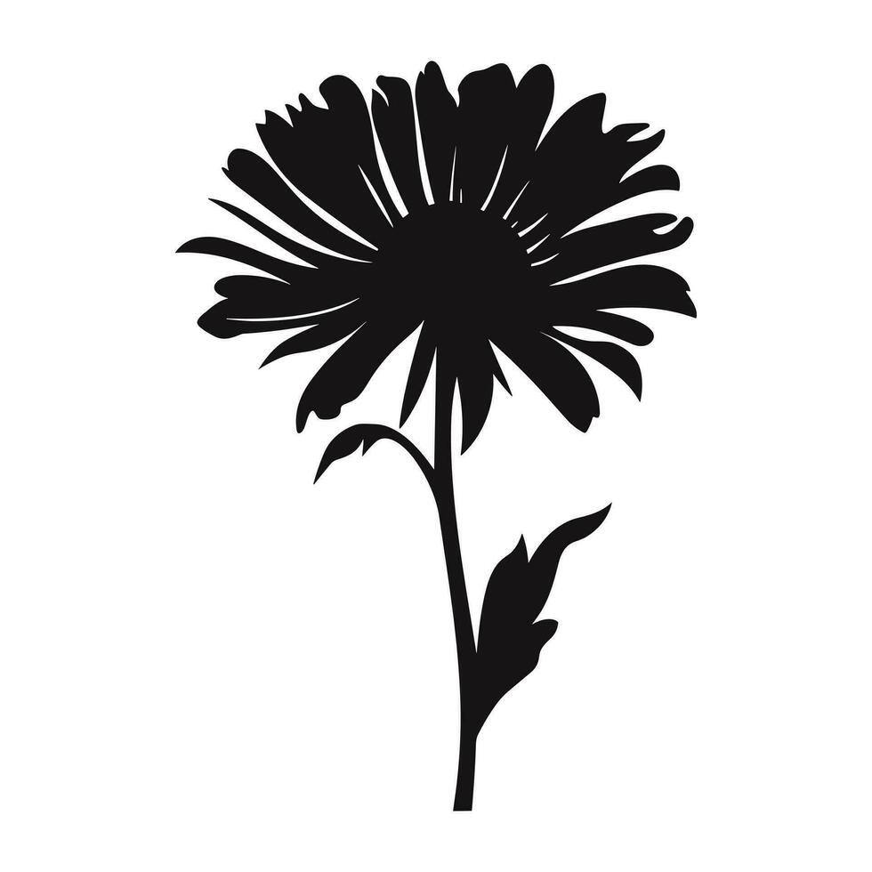 a áster flor Preto silhueta vetor livre