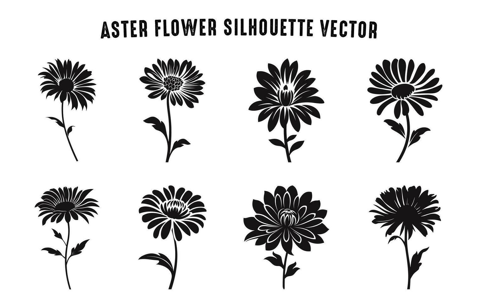 áster flor silhueta vetor definir, áster flores clipart agrupar