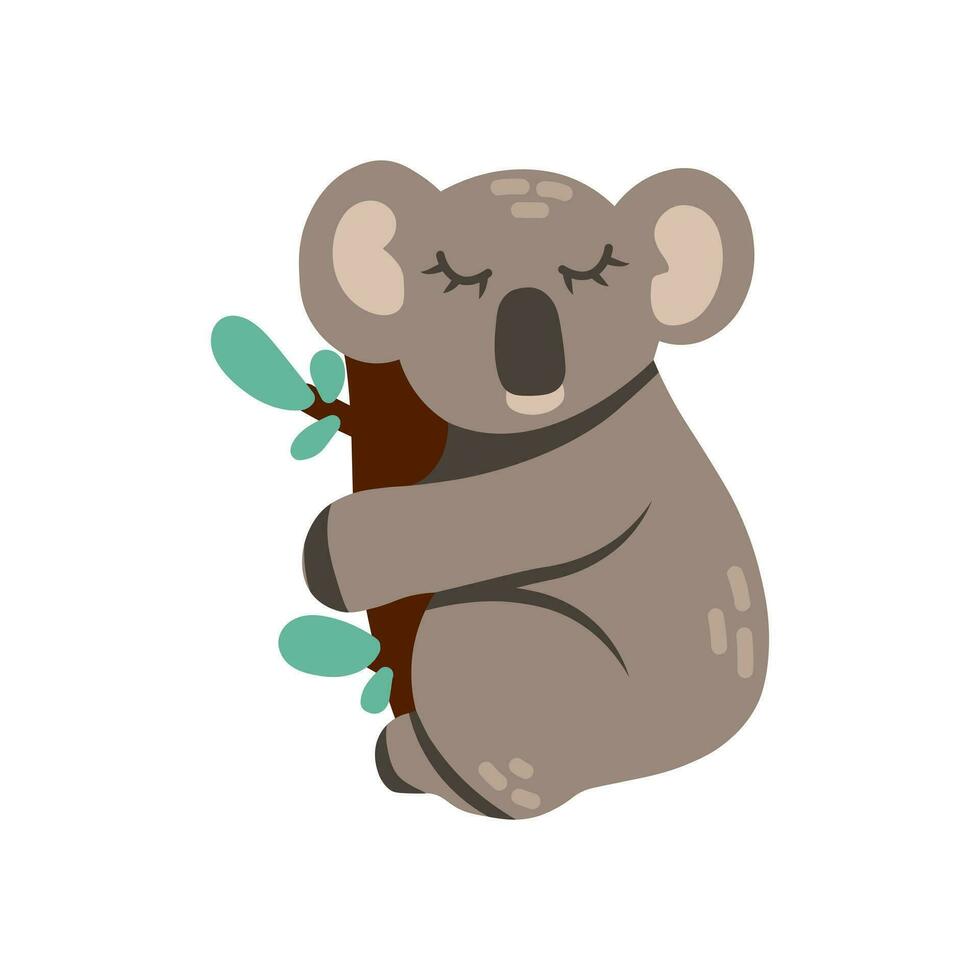 desenho animado coala Urso animal isolado em branco. fofa personagem, vetor jardim zoológico, animais selvagens poster.