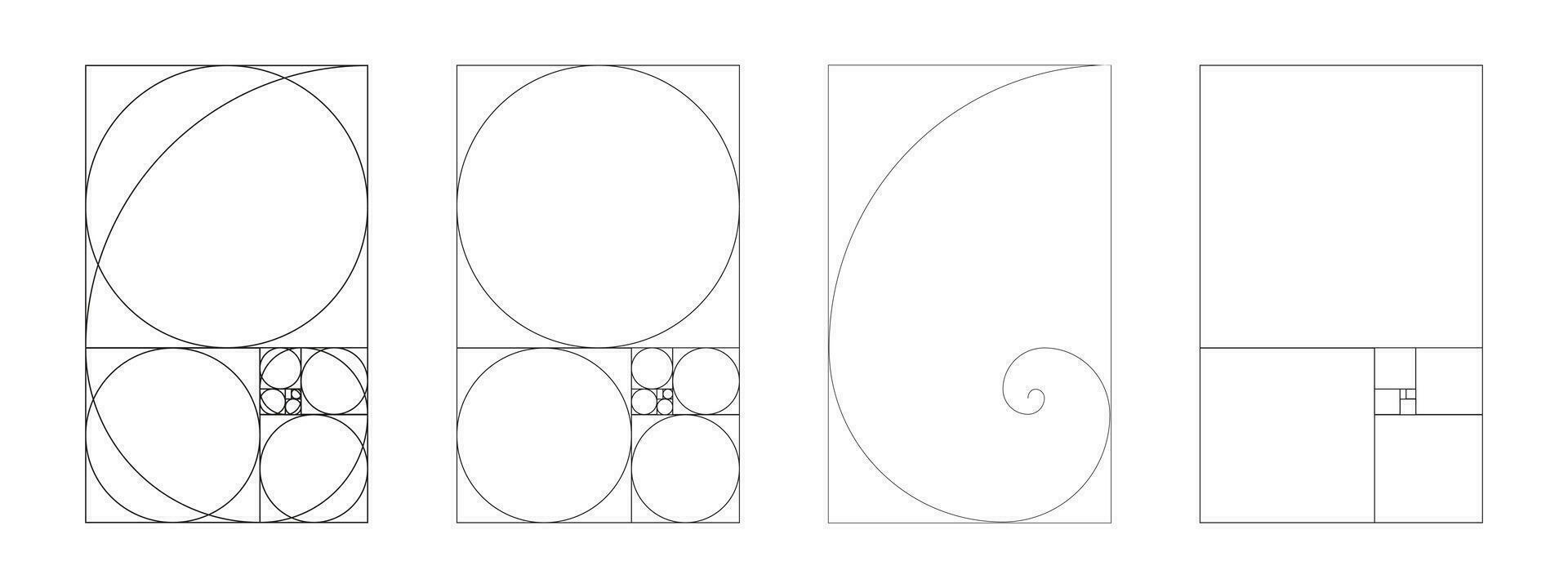 dourado Razão modelo definir. equilíbrio, harmonia proporções. dourado seção. Fibonacci variedade, números. delineado vetor ilustração.