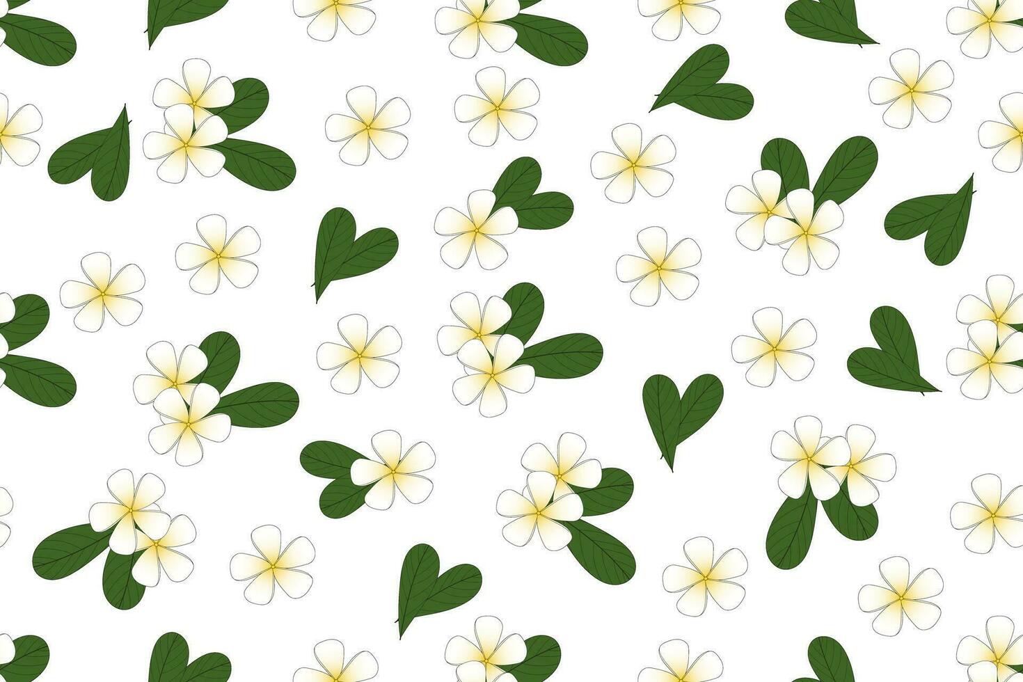 ilustração do frangipani, puméria flor com folhas em branco fundo. vetor