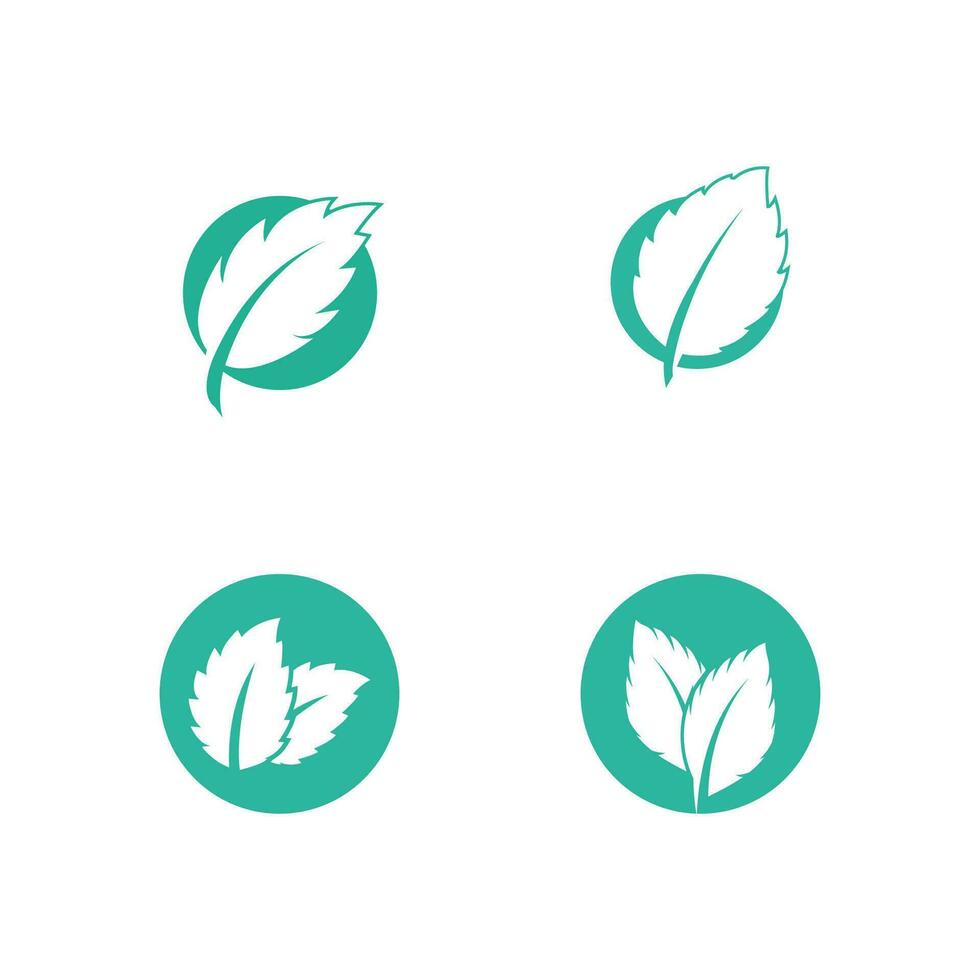 folhas de hortelã plana vector cor ícone modelo ilustração design