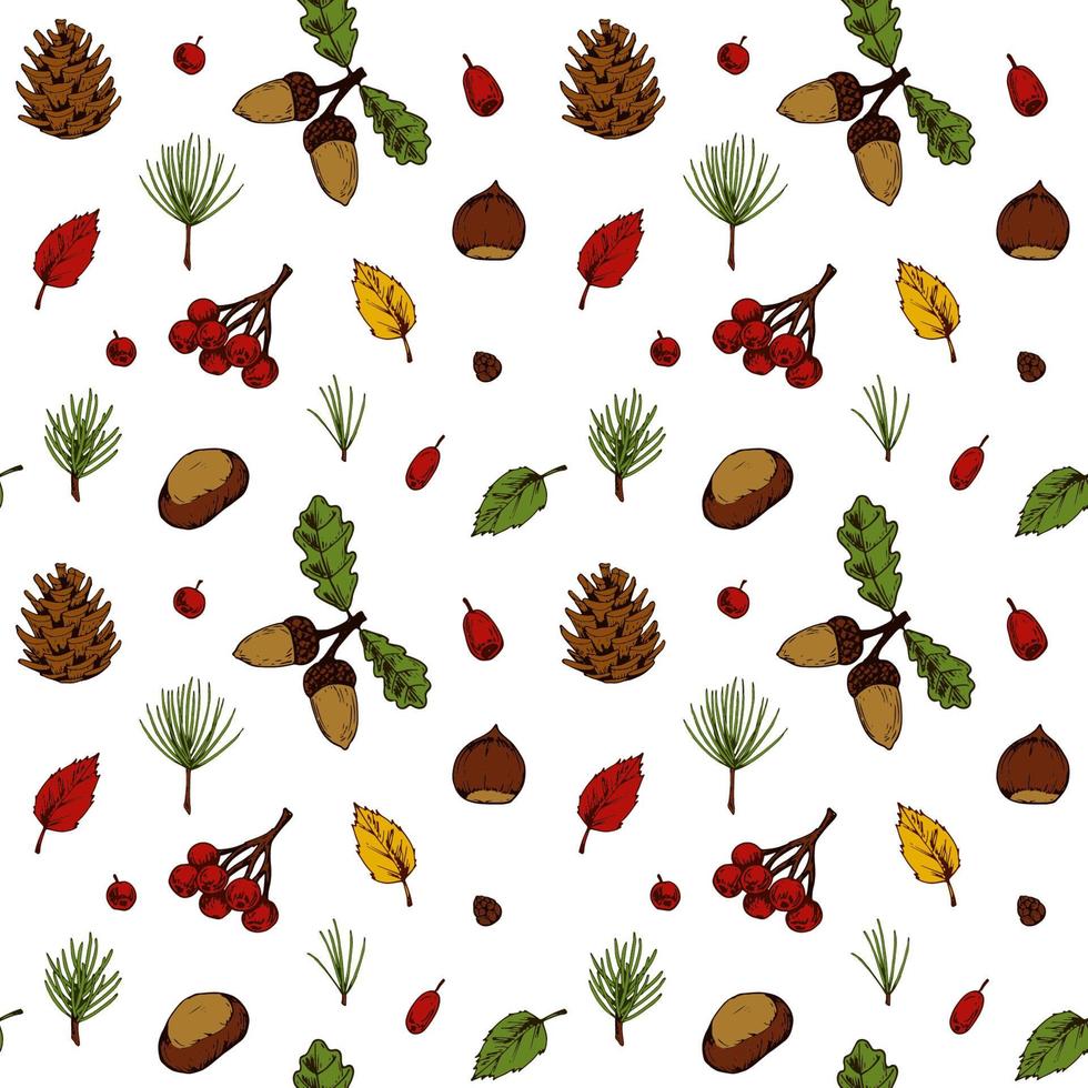 Outono floresta sem costura padrão com cones, folhas, galhos de árvores de Natal, bagas isoladas no fundo branco. mão desenhada ilustração em vetor desenho colorido. arte linha vintage