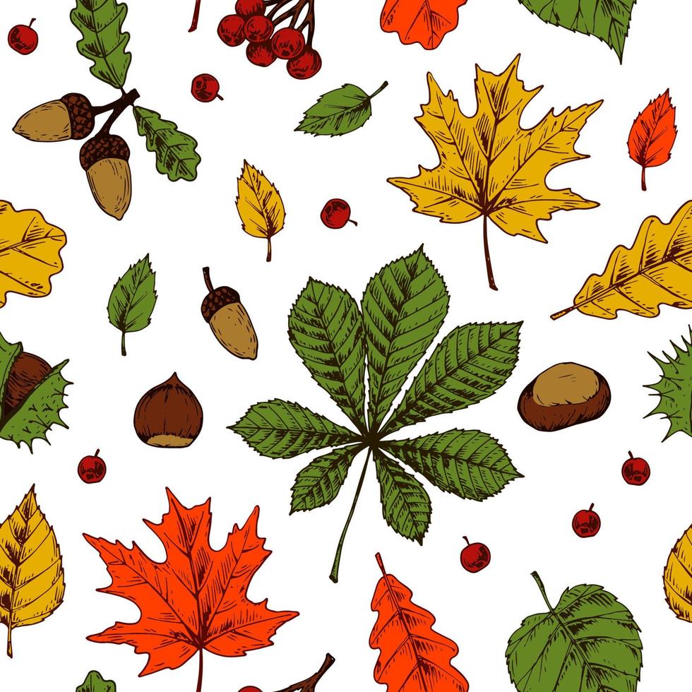 Outono padrão sem emenda com bolotas, castanhas, avelãs, frutas e folhas coloridas, isoladas no fundo branco. mão desenhada ilustração em vetor desenho colorido. arte linha vintage