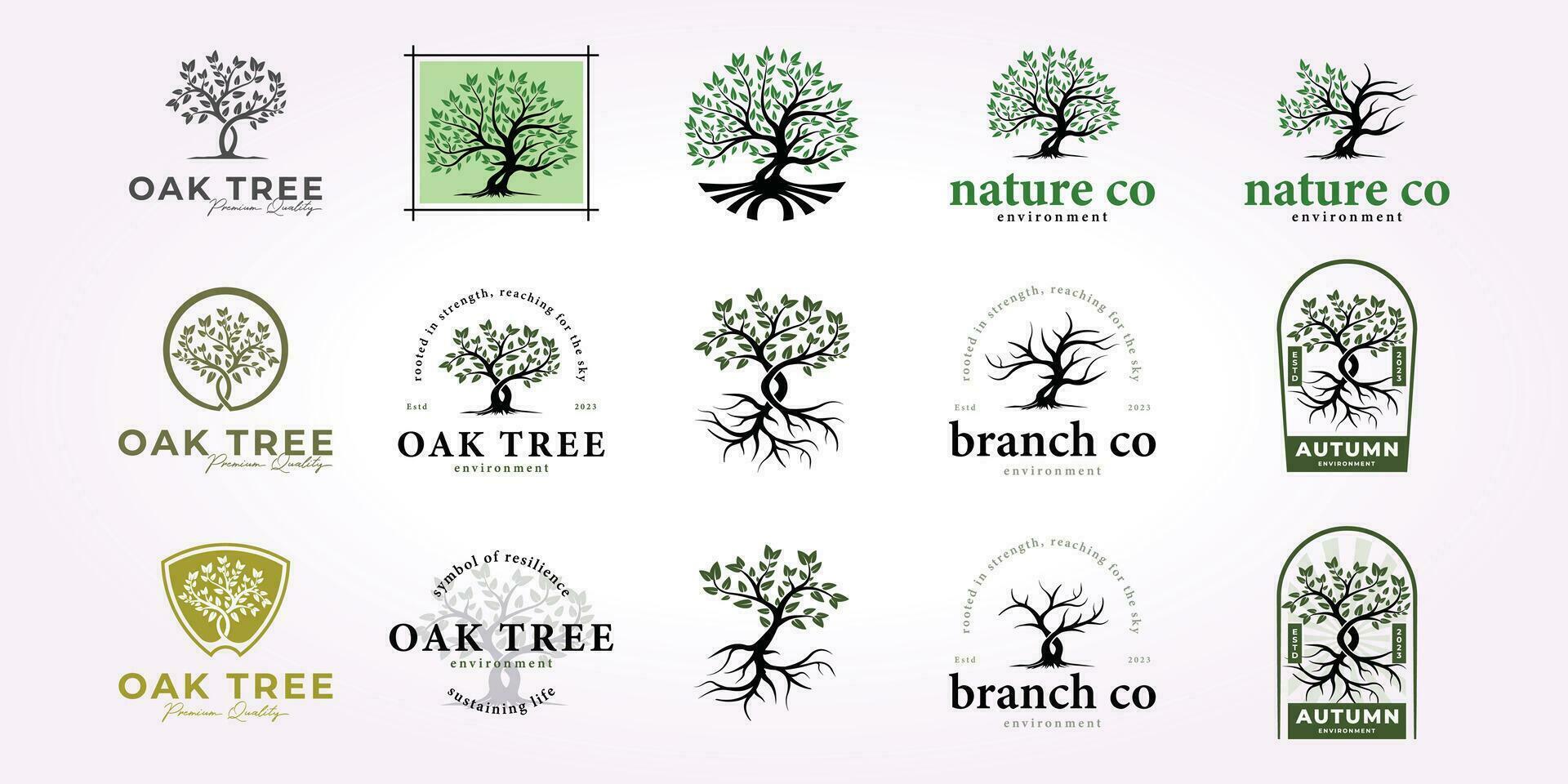 carvalho árvore logotipo Projeto pacote, natureza árvore ícone conjunto vintage floresta vetor ilustração