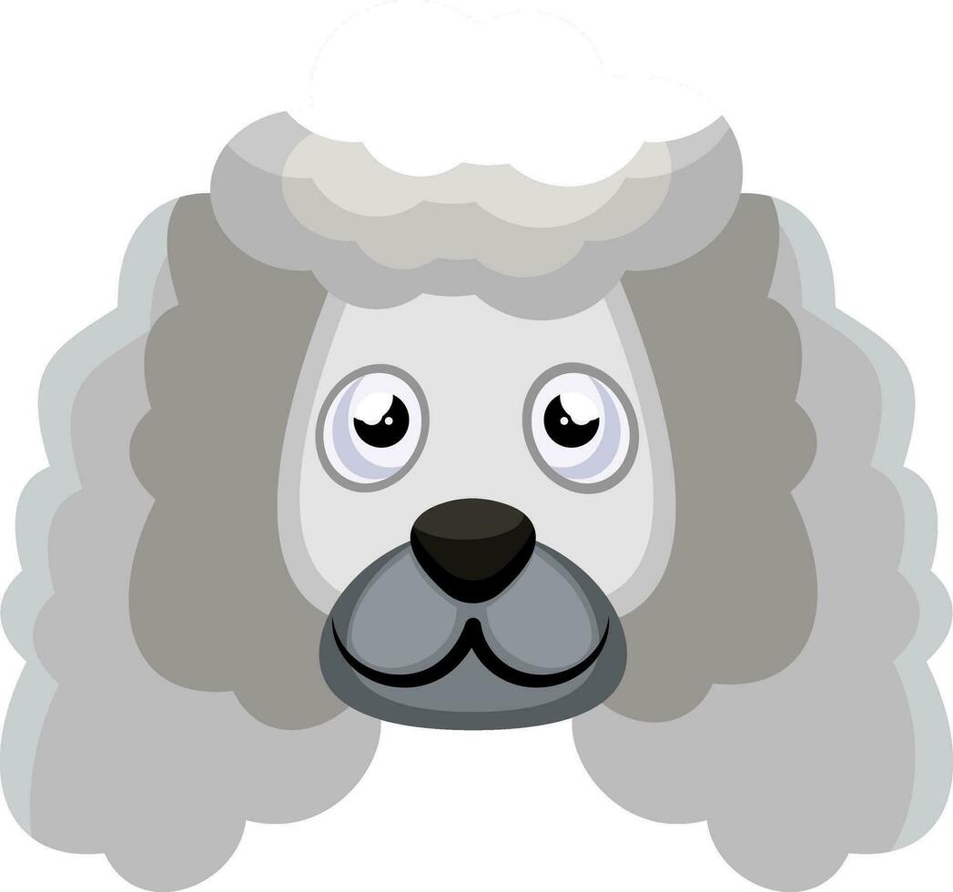 poodle ilustração vetor em branco fundo