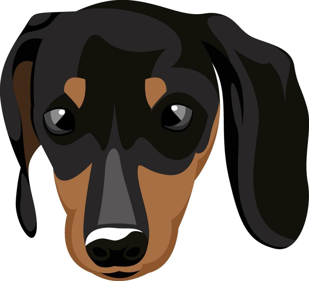 pequeno doberman ilustração vetor em branco fundo