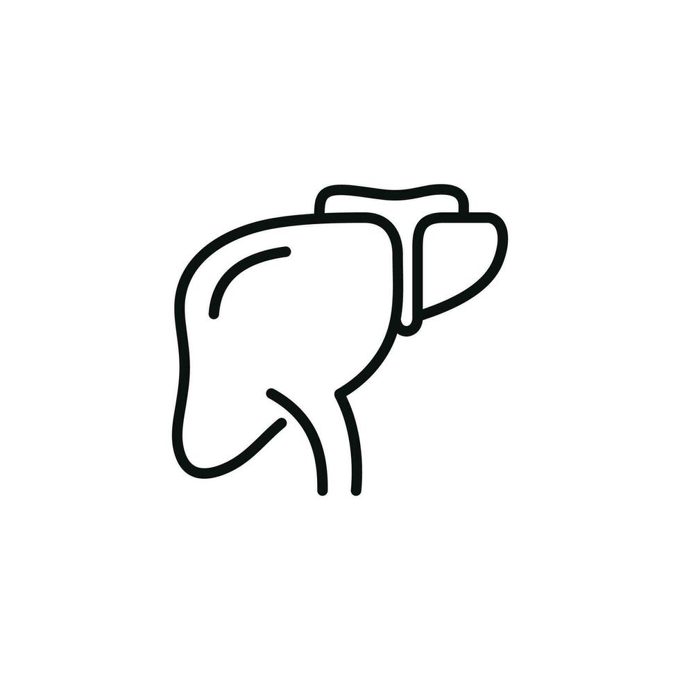 fígado linha ícone isolado em branco fundo vetor