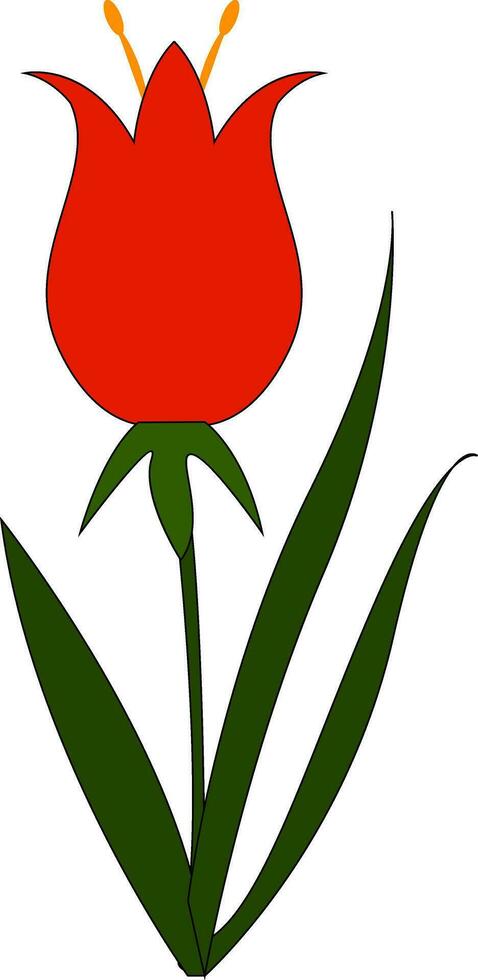 simples vetor ilustração em branco fundo do uma vermelho flor com amarelo pilão e verde folhas