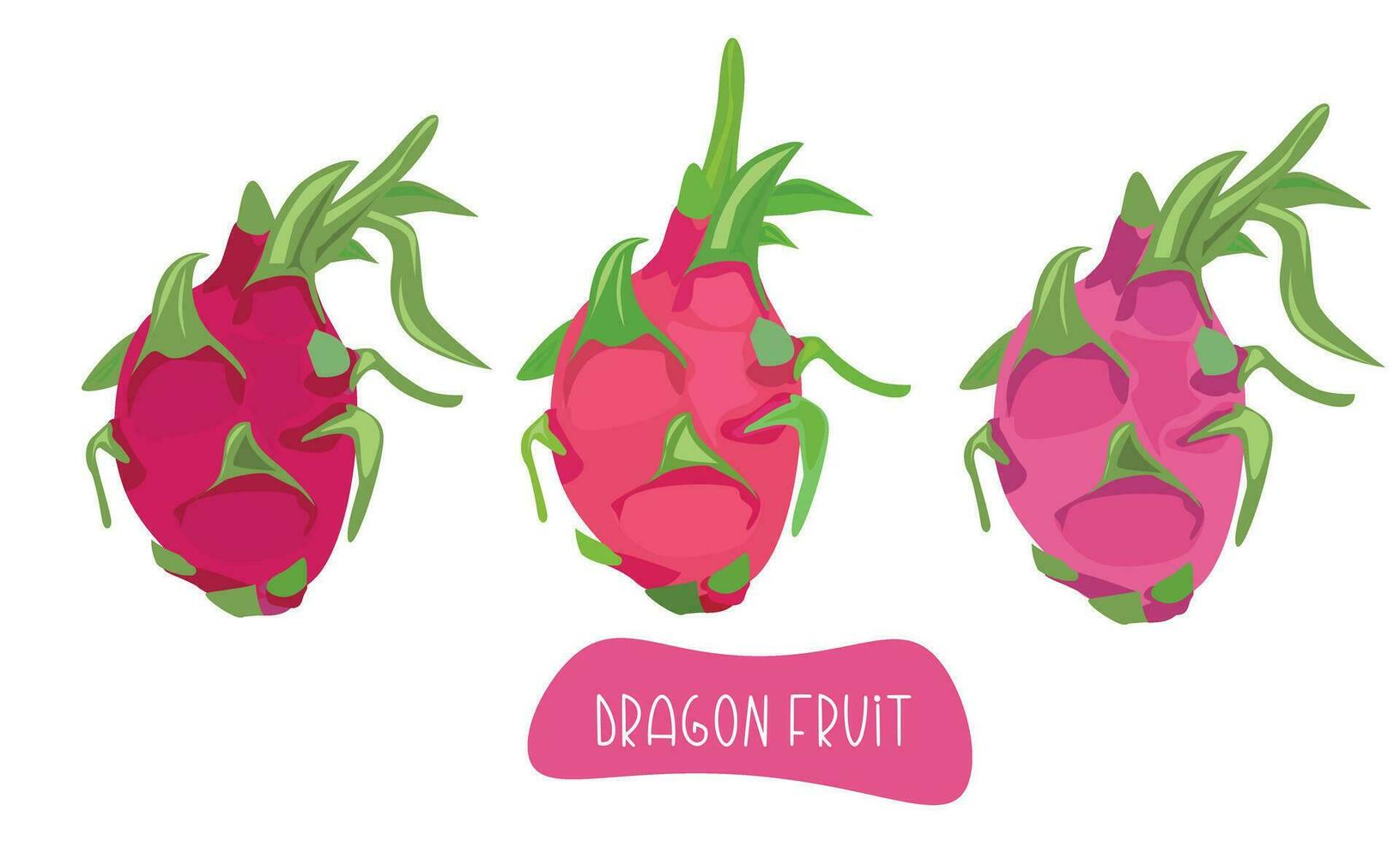 Dragão fruta vetor ilustração. verão tropical fruta grampo arte. plano vetor dentro desenho animado estilo isolado em branco fundo.