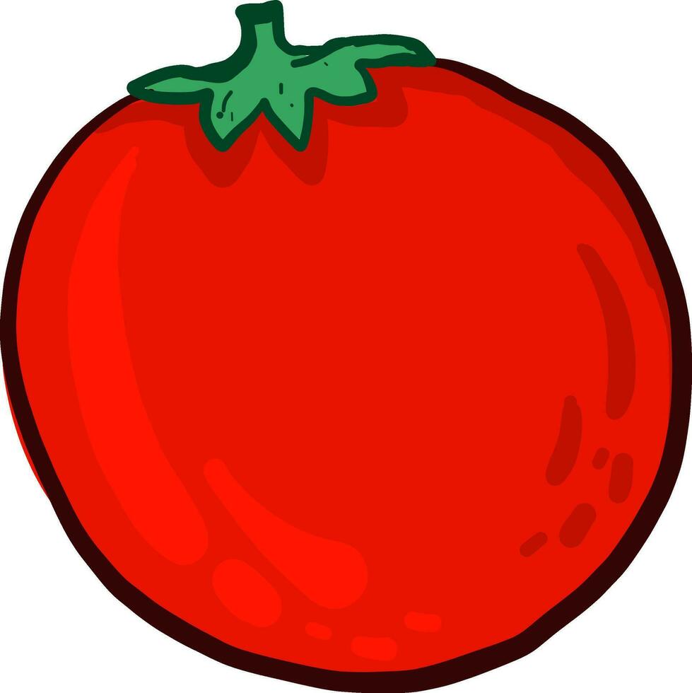 tomate vermelho, ilustração, vetor em fundo branco