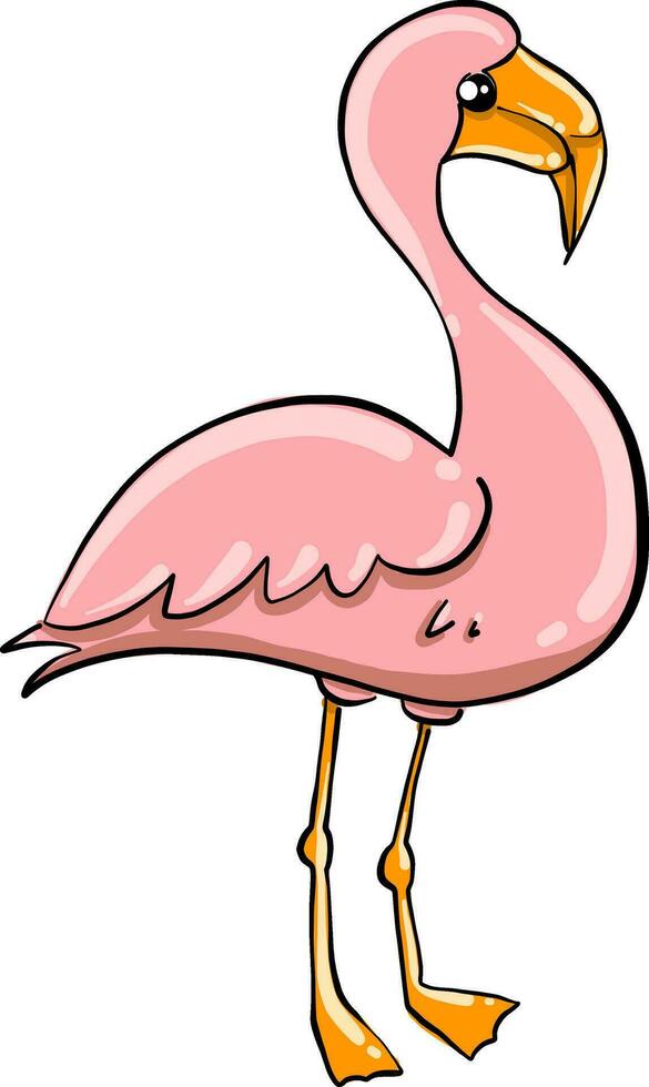 flamingo rosa, ilustração, vetor em fundo branco
