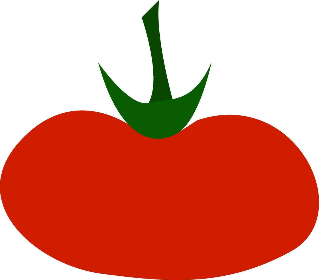 uma carnudo tomate vetor ou cor ilustração