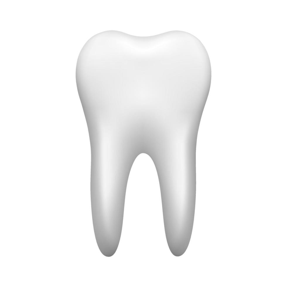 dente branco isolado no fundo branco. ícone de estomatologia. ilustração vetorial realista vetor