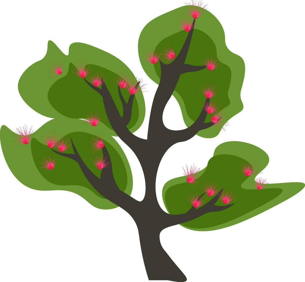 clipart do uma alta ramificado verde acácia árvore floresceu com Rosa flores vetor ou cor ilustração