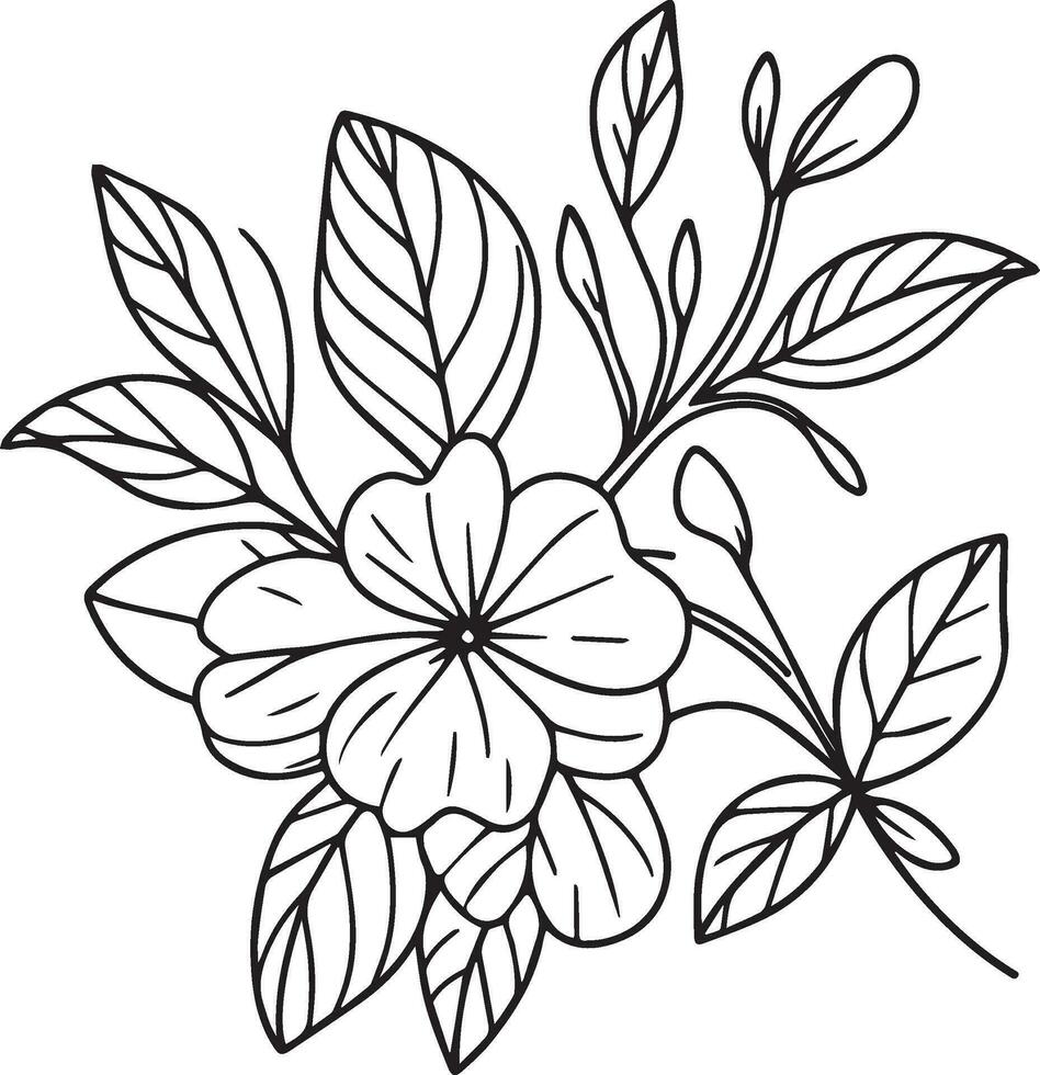 fofa crianças coloração Páginas, fácil pervinca desenho, pervinca flor Preto e branco ilustração, vinca esboço, cataranto flor vetor arte, simples flor desenho, único flores coloração página