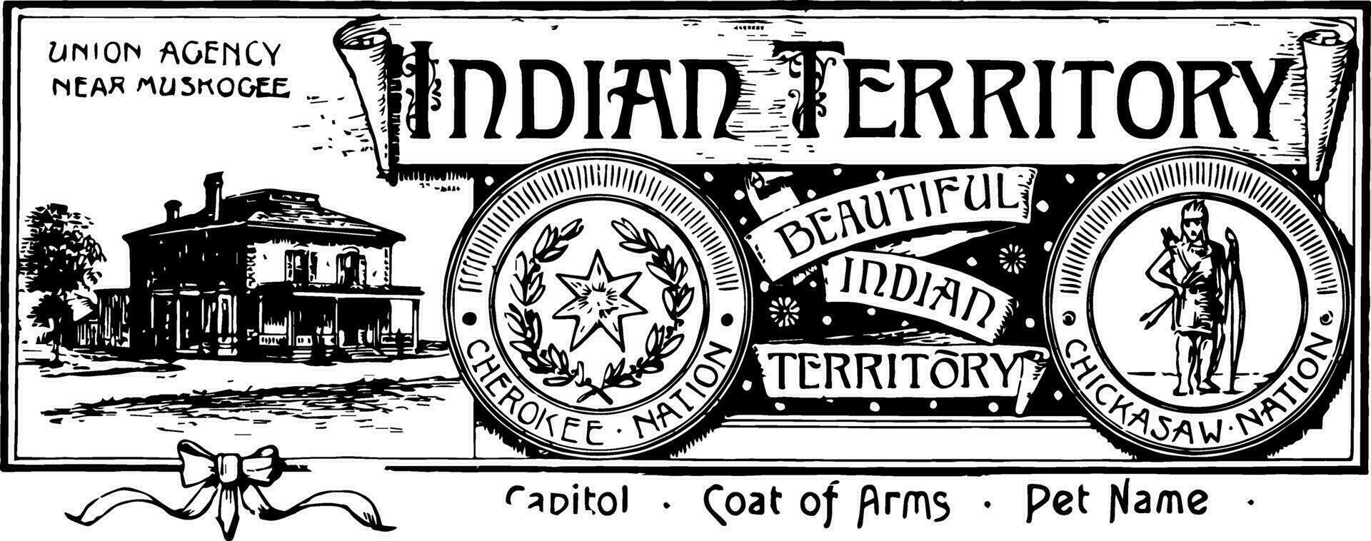 a bandeira para indiano território dentro a Unidos estados vintage ilustração vetor