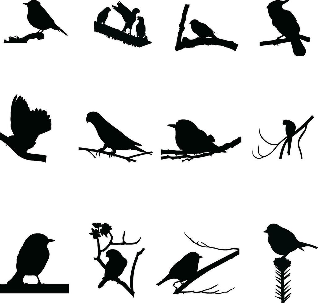 conjunto do pássaros silhueta Projeto em uma branco fundo vetor
