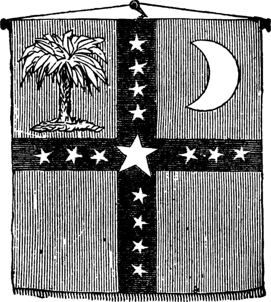 em a dia este sul carolina proclamado soberania, uma bandeira para a Novo Estado estava adotado, vintage ilustração vetor